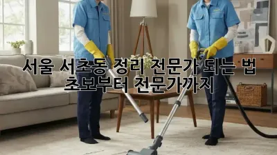 서울 서초동 정리 전문가 되는 법: 초보부터 전문가까지